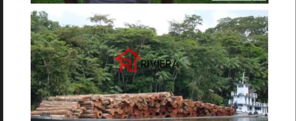 Fazenda - Foto 9
