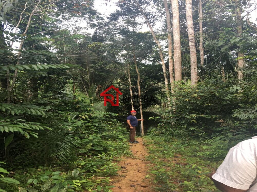 Fazenda à venda - Foto 2