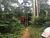 Fazenda-Sítio-Chácara - Foto 2