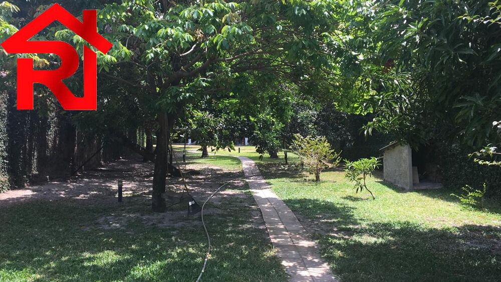 Casa, 4 quartos - Foto 6