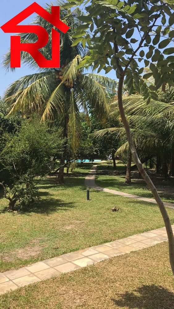 Casa, 4 quartos - Foto 2