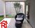Casa, 5 quartos, 800 m² - Foto 6