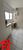 Apartamento, 3 quartos, 187 m² - Foto 7