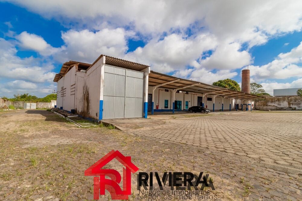 Depósito-Galpão, 10000 m² - Foto 3