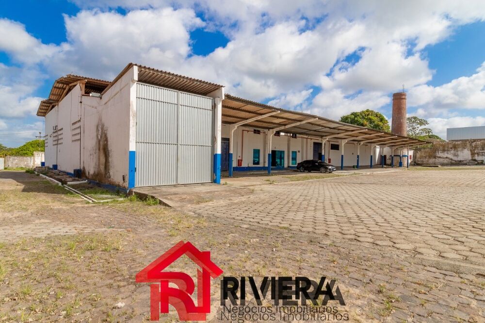 Depósito-Galpão, 10000 m² - Foto 2
