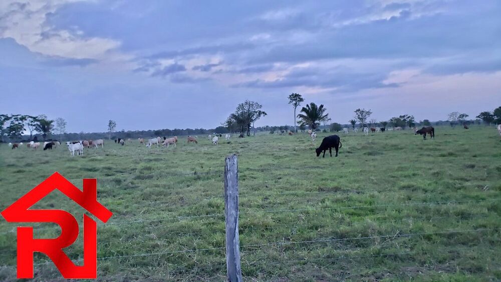 Fazenda - Foto 1