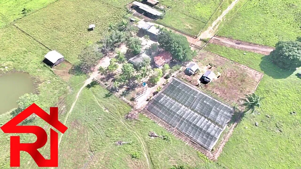 Fazenda - Foto 9