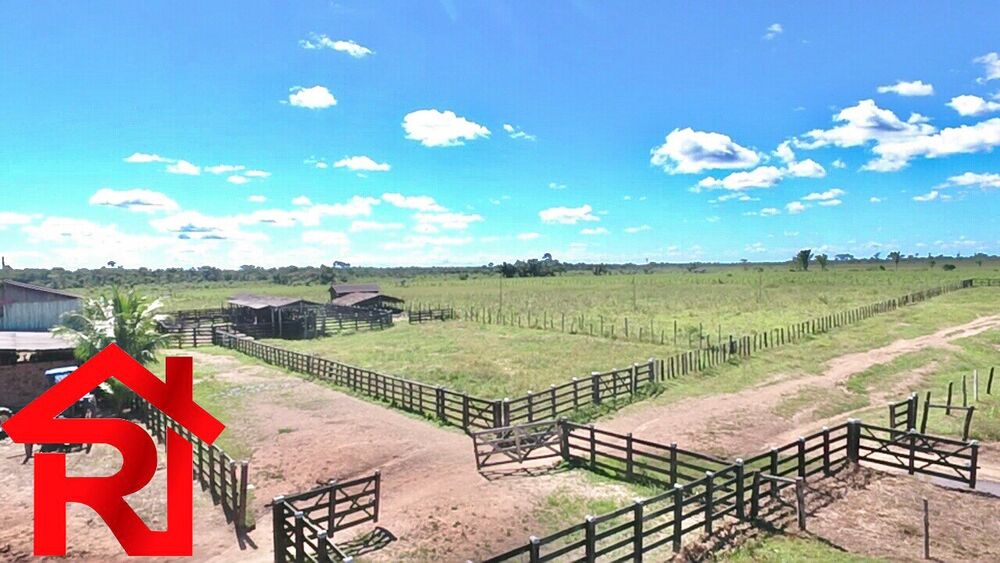 Fazenda - Foto 7