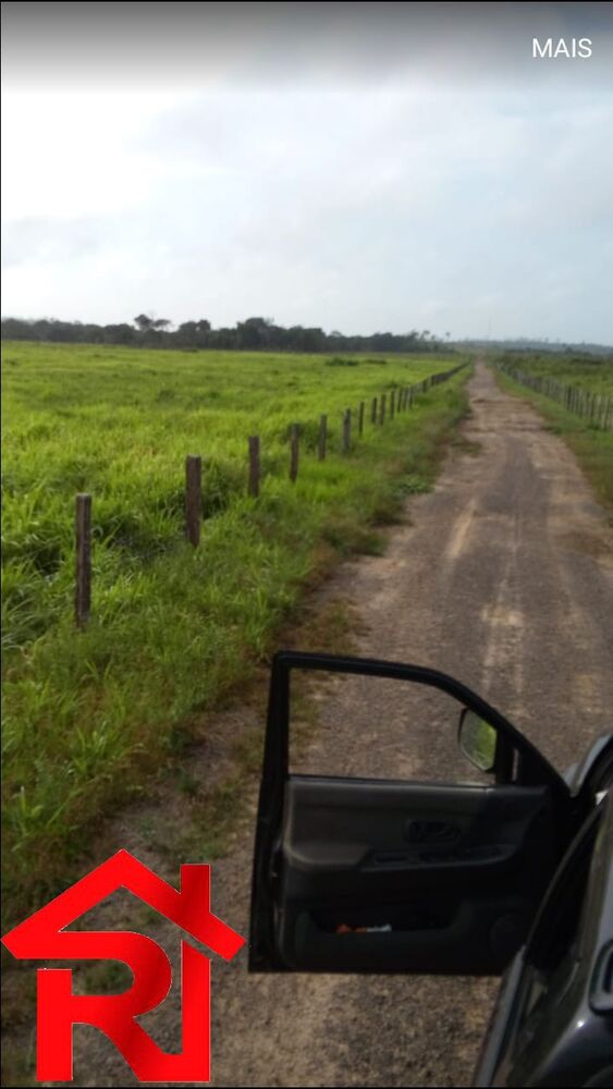 Fazenda - Foto 4