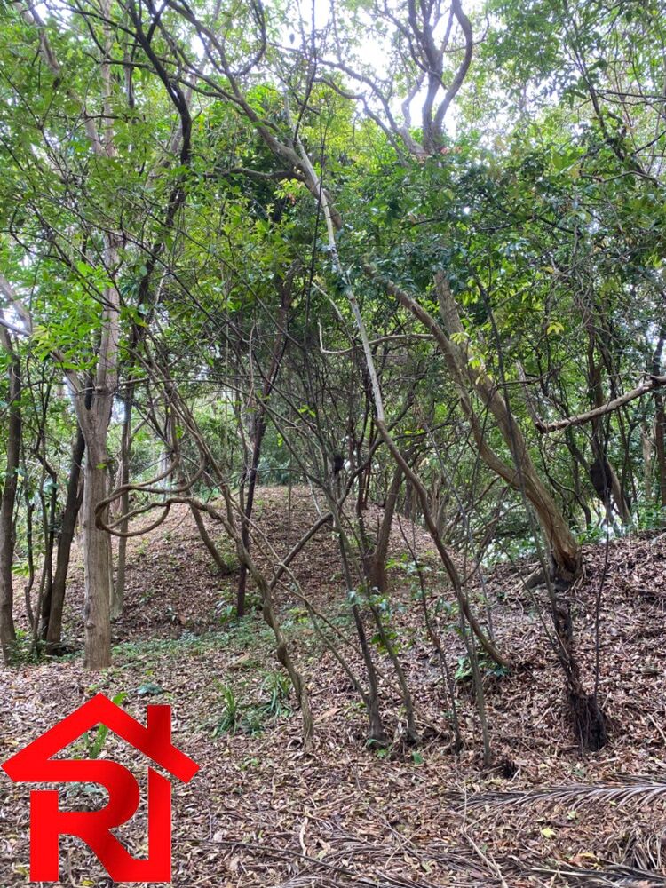 Casa à venda com 3 quartos, 22000m² - Foto 3