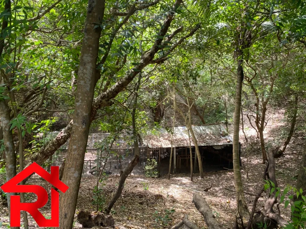 Casa, 3 quartos, 22000 m² - Foto 4