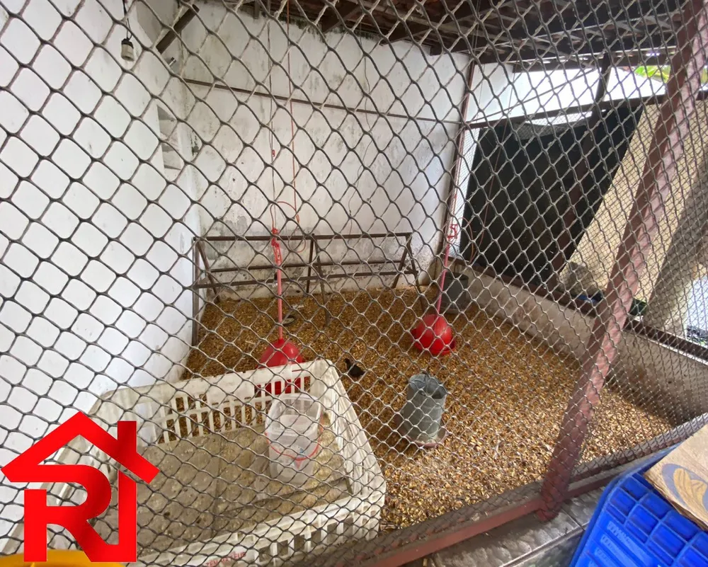 Casa, 4 quartos, 1000 m² - Foto 11