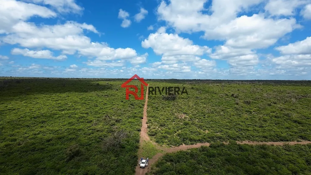 Fazenda - Foto 10