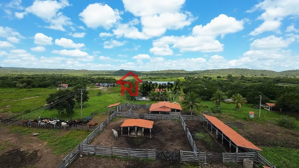 Fazenda - Foto 4