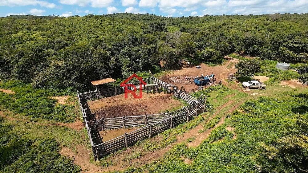 Fazenda - Foto 3