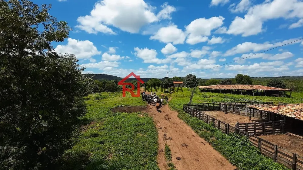 Fazenda - Foto 6