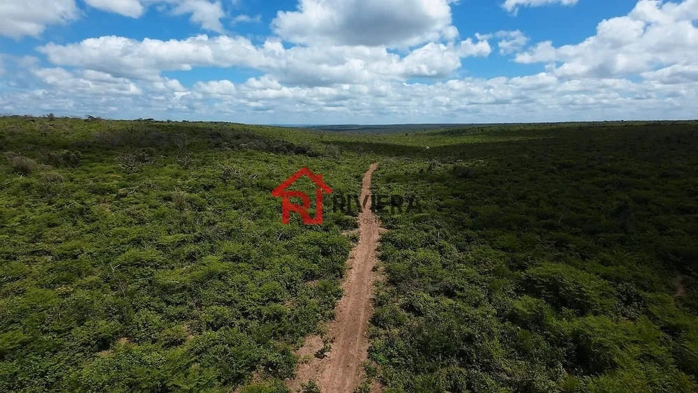 Fazenda - Foto 13