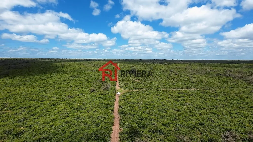 Fazenda - Foto 11