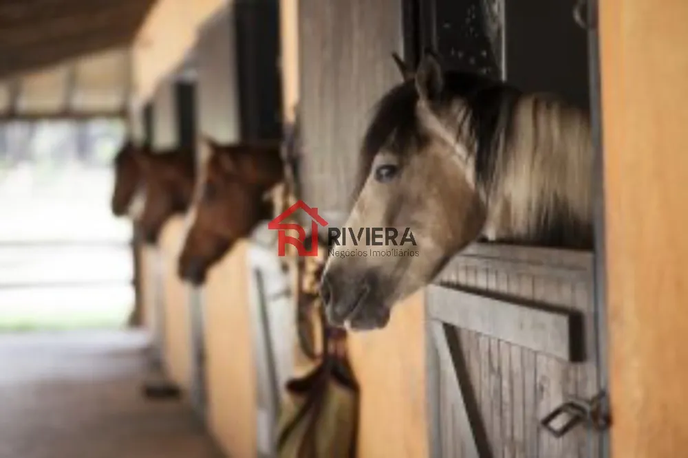 Fazenda - Foto 8