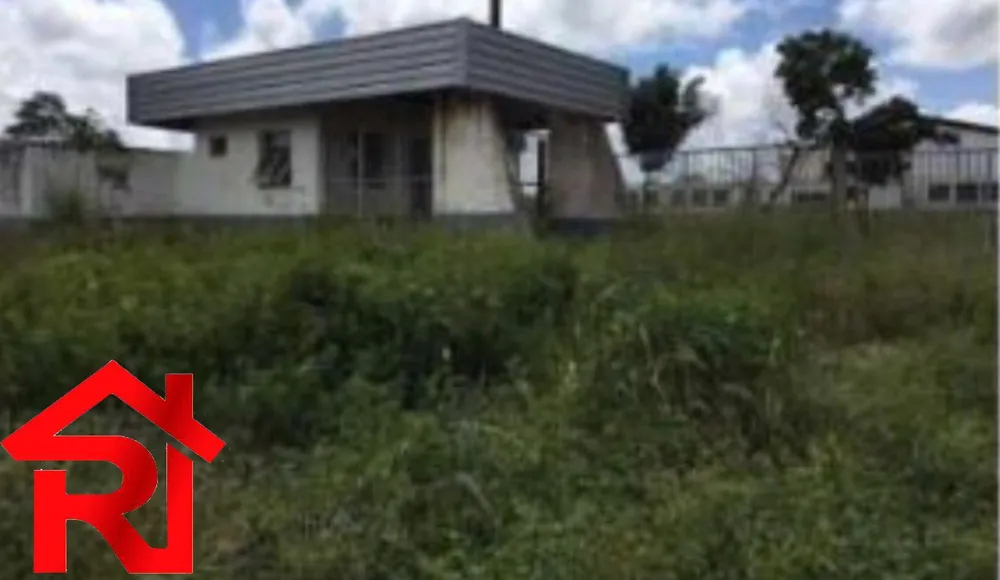 Depósito-Galpão, 80000 m² - Foto 3
