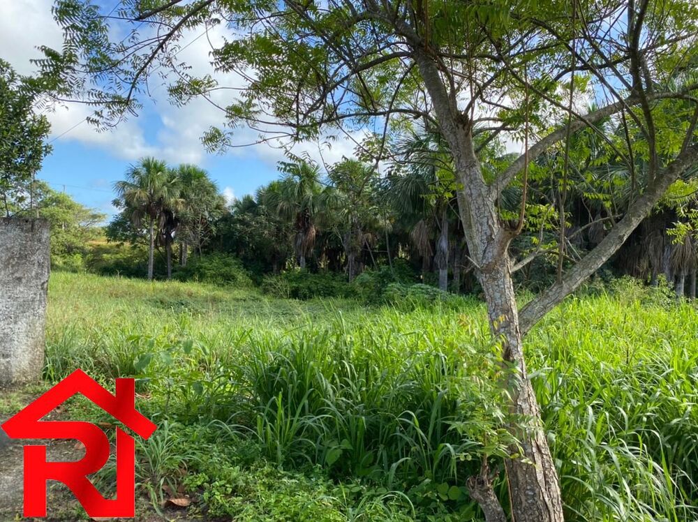 Loteamento e Condomínio, 1 hectares - Foto 3