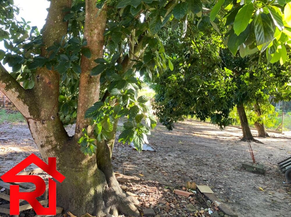 Loteamento e Condomínio, 1 hectares - Foto 2