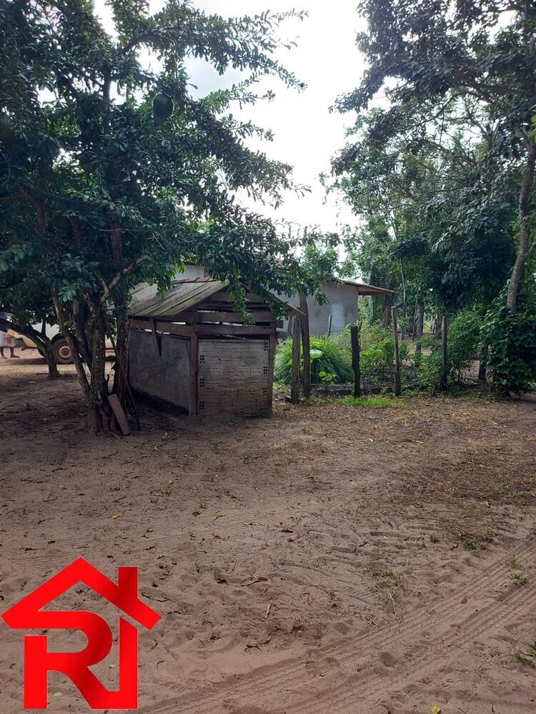 Fazenda à venda - Foto 5