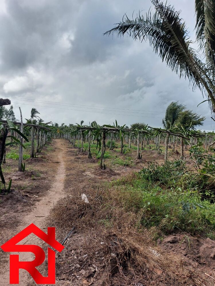 Fazenda à venda - Foto 10