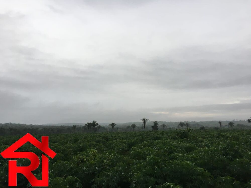 Fazenda à venda - Foto 19