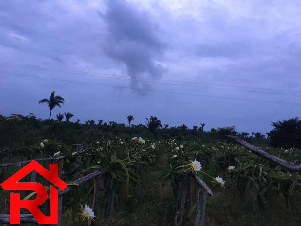 Fazenda - Foto 27