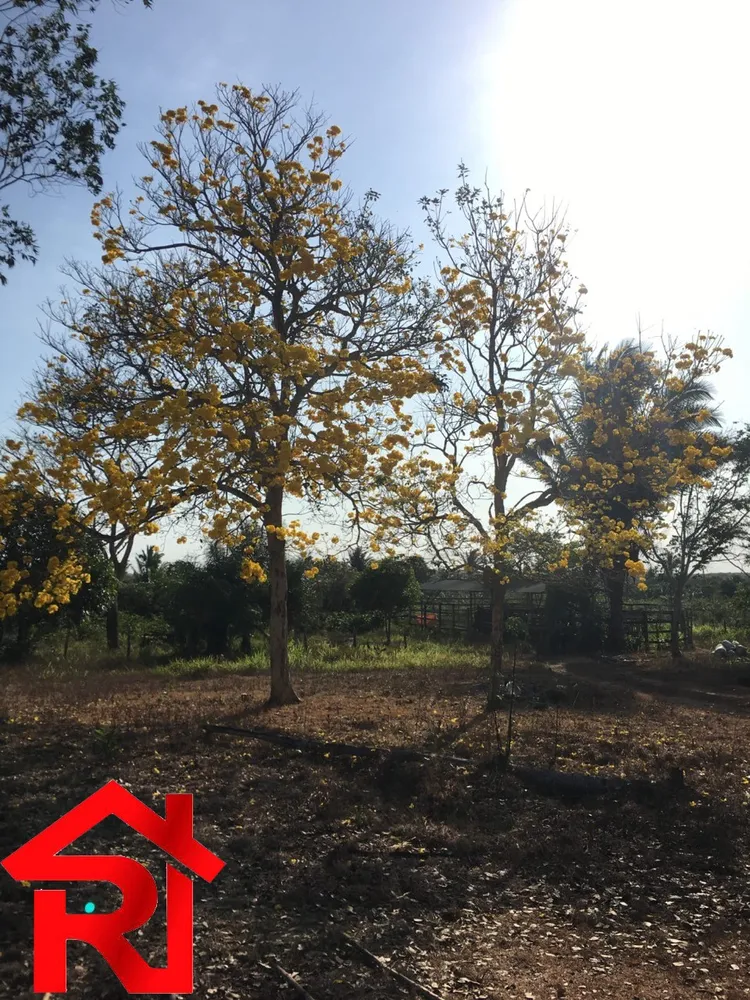 Fazenda - Foto 6