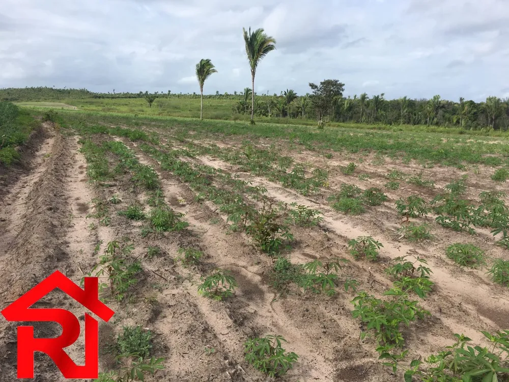 Fazenda - Foto 1