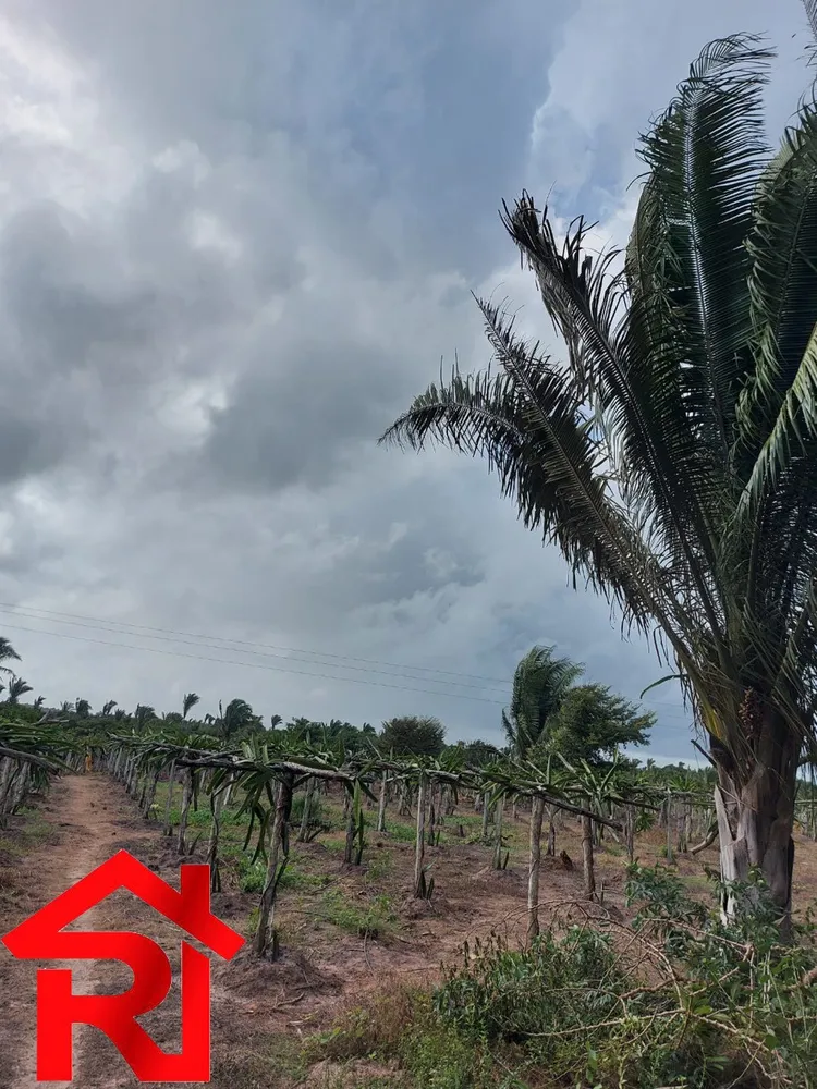 Fazenda - Foto 15