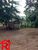 Fazenda-Sítio-Chácara - Foto 5