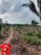 Fazenda-Sítio-Chácara - Foto 10