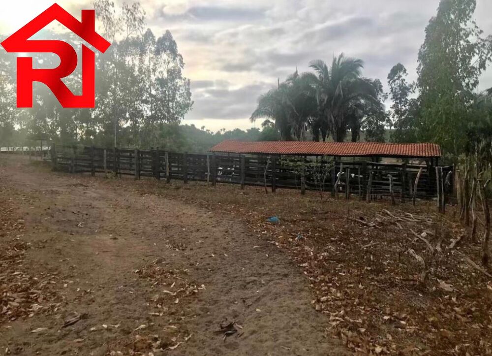 Fazenda - Foto 4