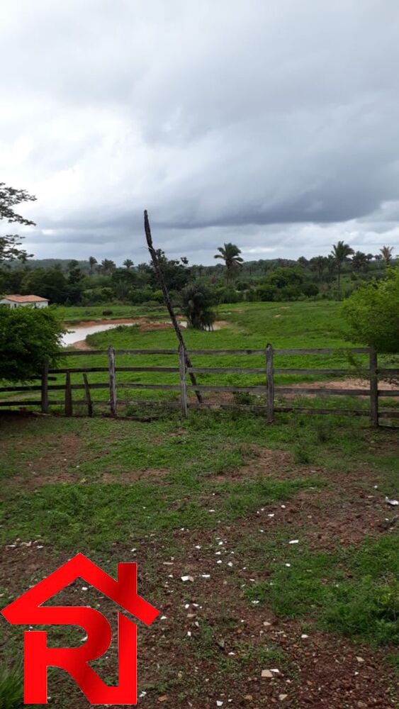 Fazenda - Foto 6