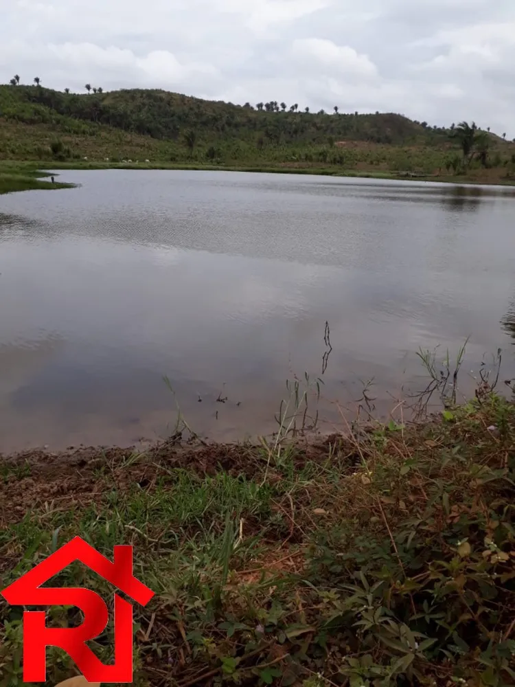Fazenda - Foto 13
