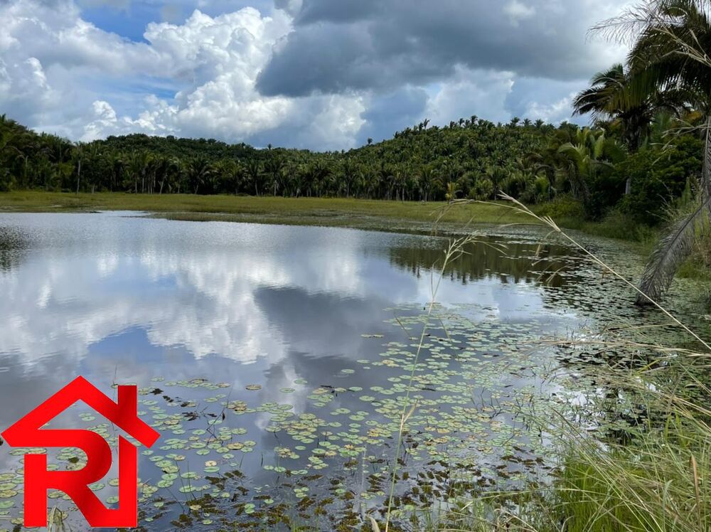 Fazenda, 6 quartos - Foto 4