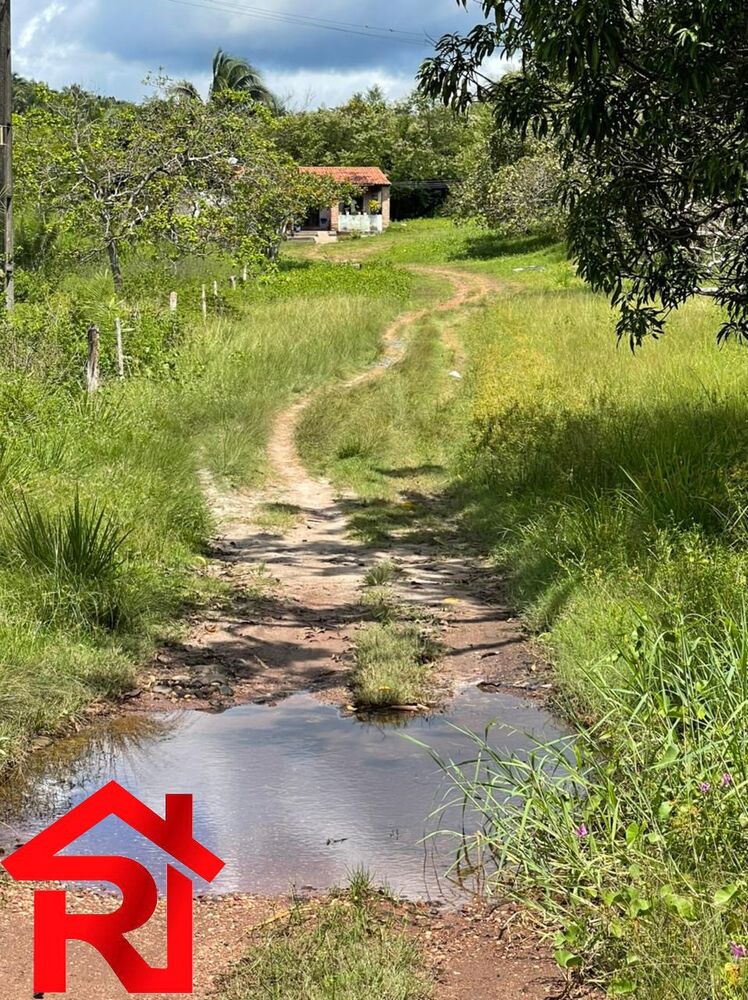 Fazenda, 6 quartos - Foto 1