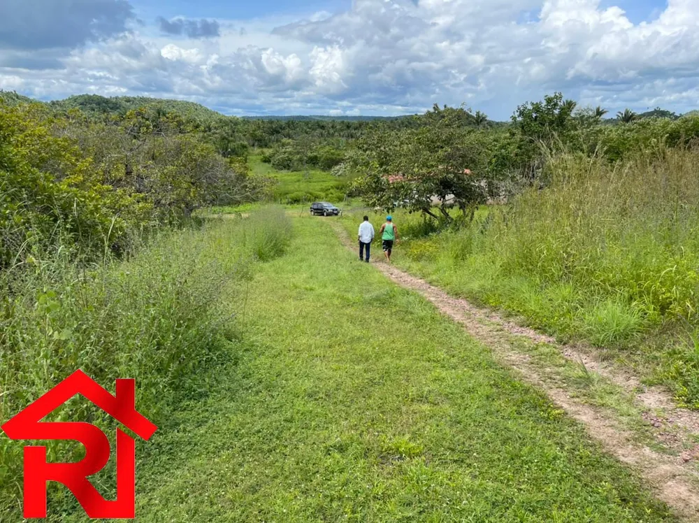 Fazenda, 6 quartos - Foto 6