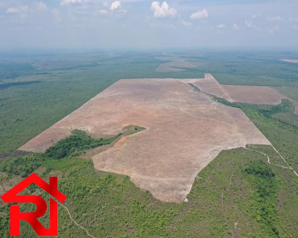 Fazenda - Foto 2