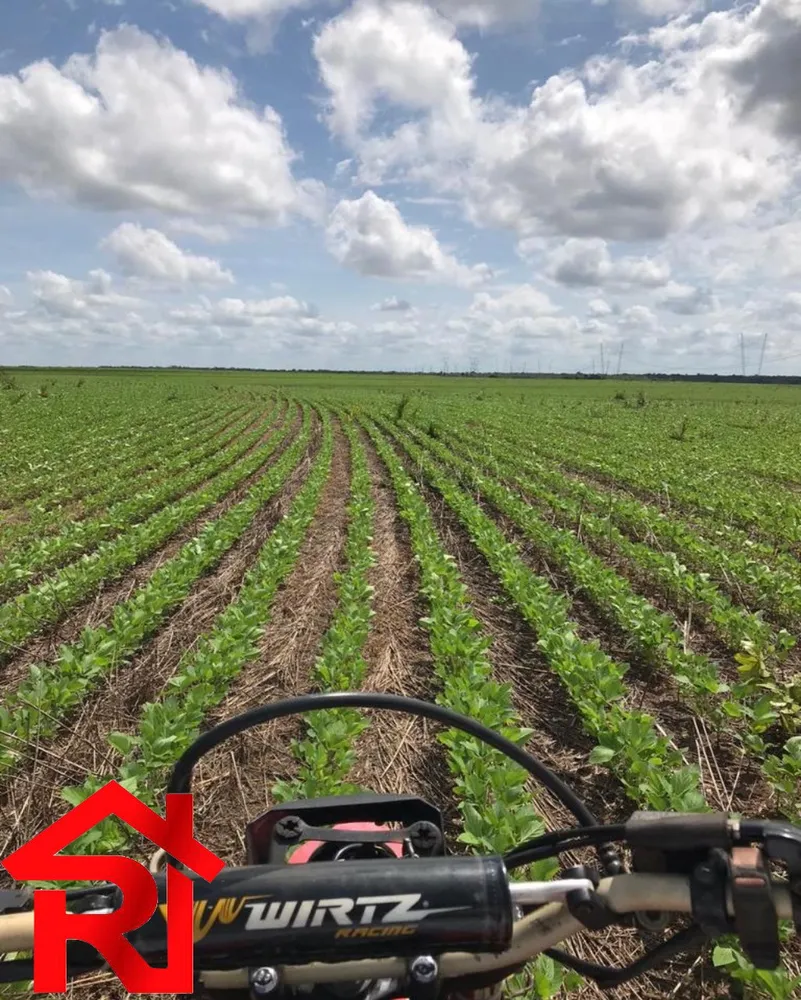 Fazenda - Foto 10