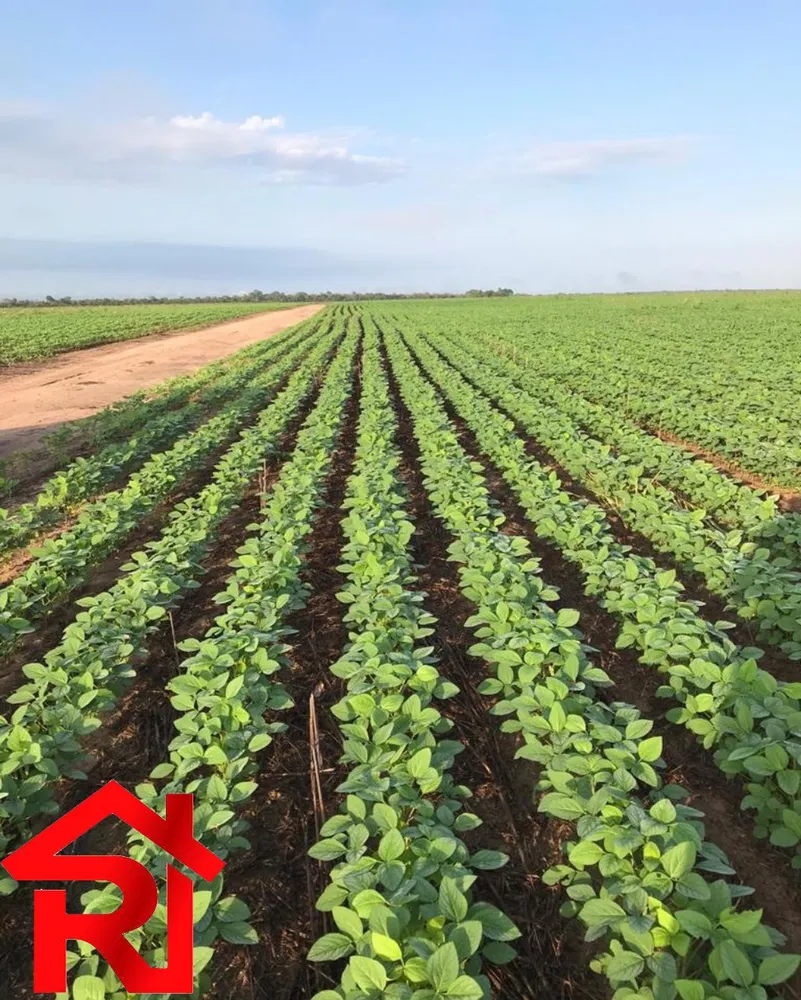 Fazenda - Foto 3