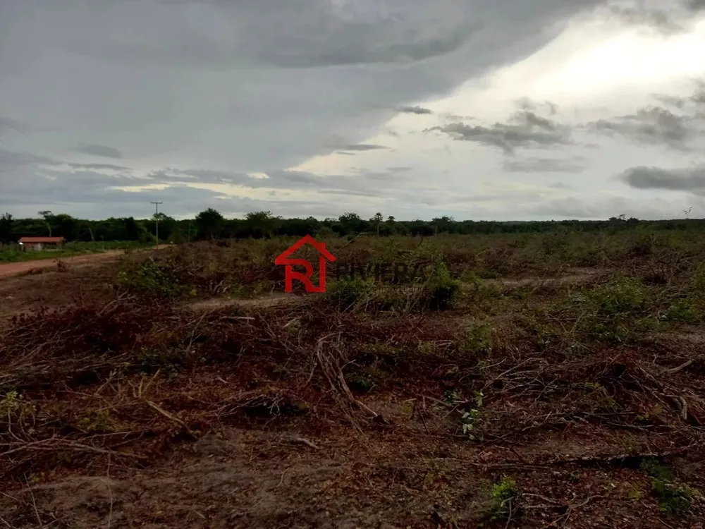 Fazenda à venda com 3 quartos - Foto 4