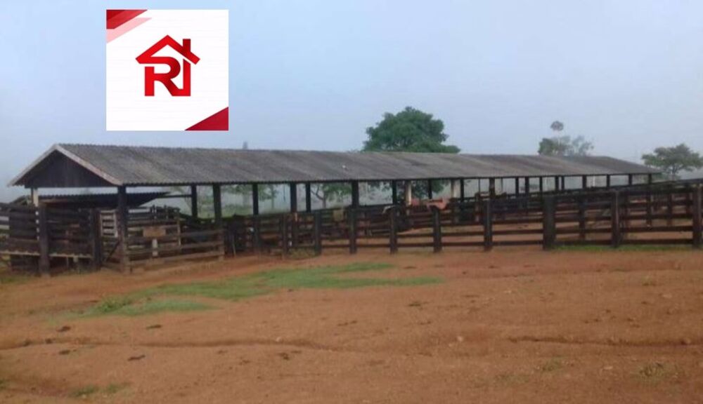 Fazenda-Sítio-Chácara - Foto 4