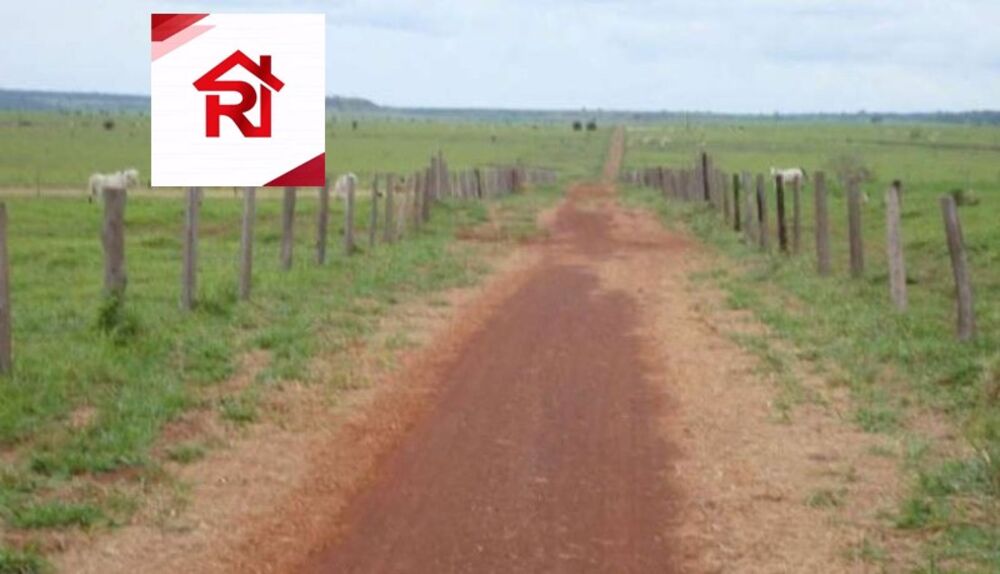 Fazenda-Sítio-Chácara - Foto 7