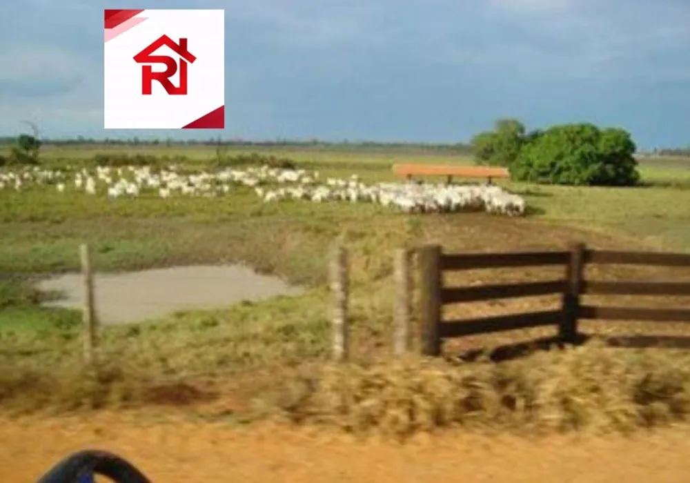 Fazenda - Foto 10