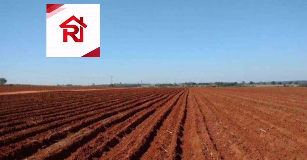 Fazenda-Sítio-Chácara - Foto 8