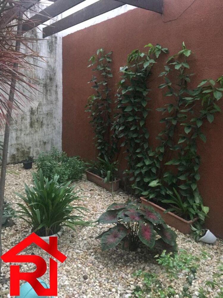 Casa, 4 quartos, 525 m² - Foto 11